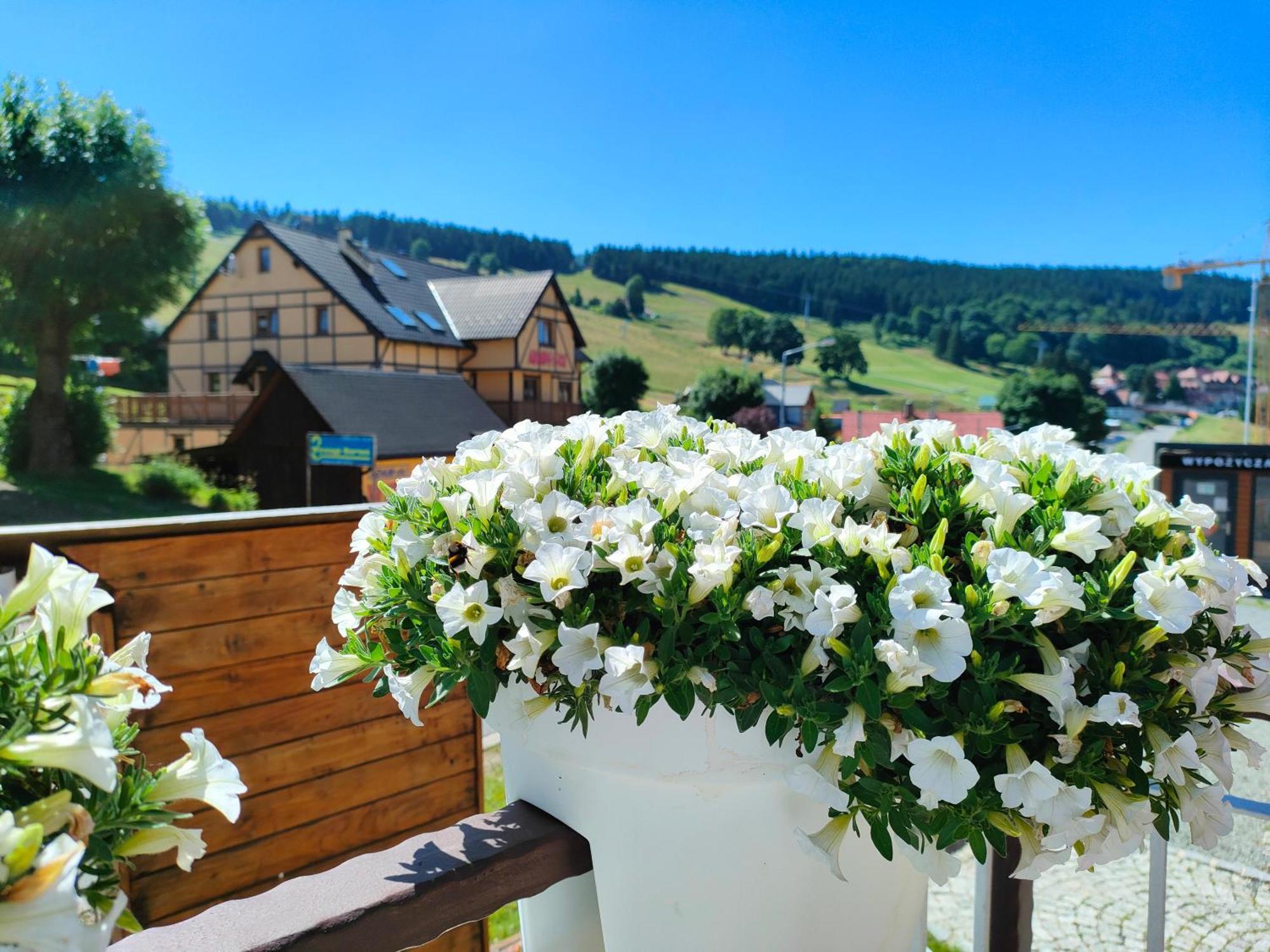 Ski&Spa Zieleniec Duszniki Zdrój 外观 照片